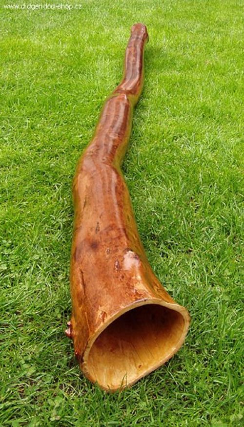 343px-Didgeridoo-grass.jpg